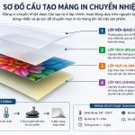 Sơ đồ Cấu Tạo Màng In Chuyển Nhiệt