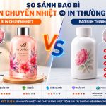 So Sánh Bao Bì In Chuyển Nhiệt Và Bao Bì In Thường