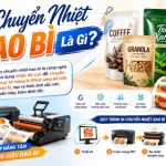 In Chuyển Nhiệt Bao Bì Là Gì