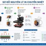 Sơ đồ Nguyên Lý In Chuyển Nhiệt
