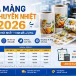 Giá Màng In Chuyển Nhiệt 2026 Báo Giá Mới Nhất Theo Số Lượng