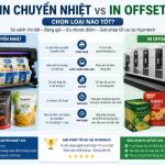 In Chuyển Nhiệt Vs In Offset
