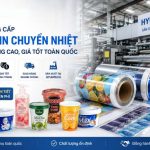 Nhà Cung Cấp Màng In Chuyển Nhiệt Chất Lượng Cao